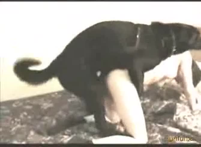 Video :Sexy and busty teen got banged by black dog xxx